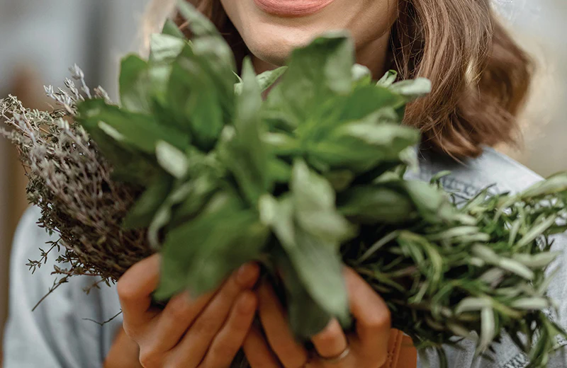 Fuel Your Peak Performance Today